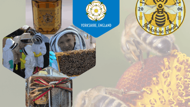 staincross-apiaries2