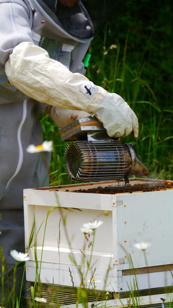 077a8c5b-bac3-49d3-b143-1f1862bcf7e9