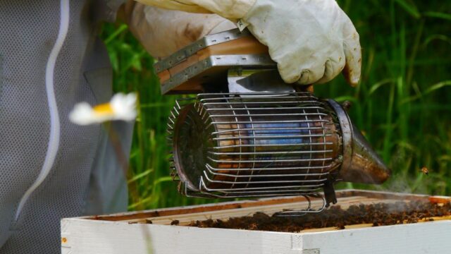 077a8c5b-bac3-49d3-b143-1f1862bcf7e9