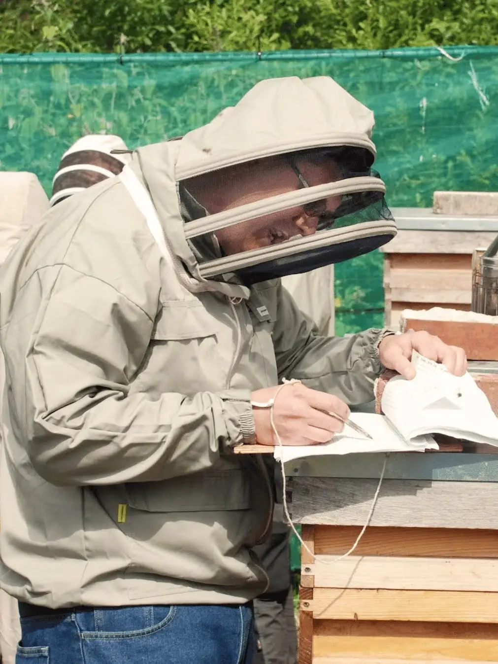 Beekeeper at the hive